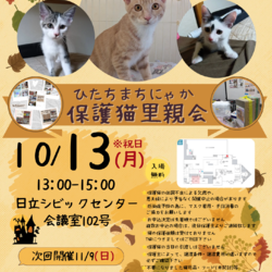 ひたちまちにゃか保護猫里親会