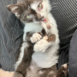 ５ヶ月　女の子