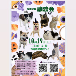 保護犬猫☻譲渡会 @古河市 サムネイル1
