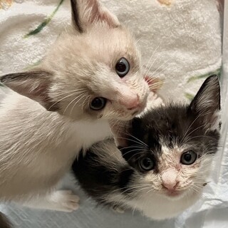 お問い合わせがあり一旦停止中です