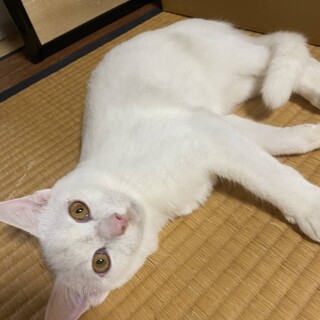 8カ月くらいのルカくん