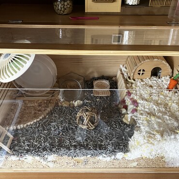 ララちゃんのお家