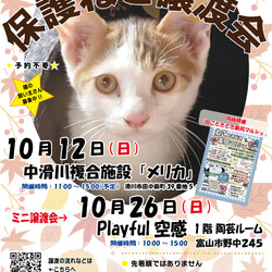 【富山ねこの会】保護猫譲渡会（ねこときどき薬局マルシェ）
