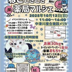 【富山ねこの会】保護猫譲渡会（ねこときどき薬局マルシェ） サムネイル2
