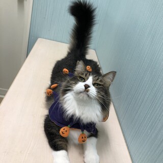 ロン君、とても穏やかです