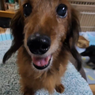 人が大好き、明るいくーちゃん