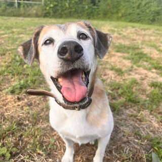 優しい甘えん坊のしんじくん