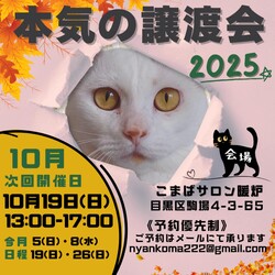 本気の譲渡会
