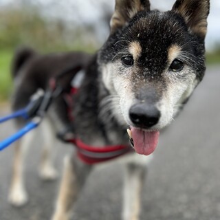 元気ハツラツな万梨ばあちゃんです