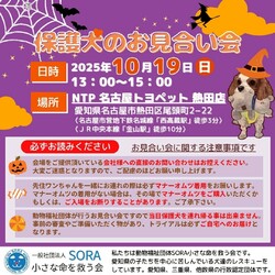 NTP 名古屋トヨペット熱田店様 お見合い会