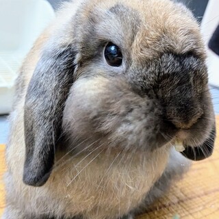 素晴らしいご縁になりました。感謝申し上げます！