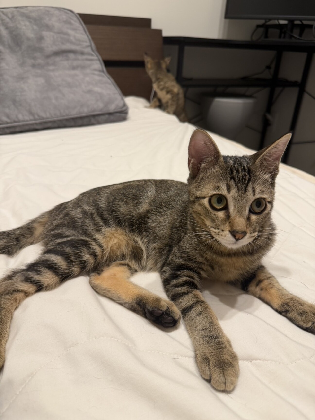 【控えめな性格の持ち主】ちーちゃん サムネイル1