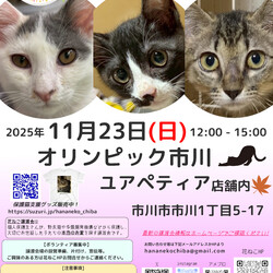 花ねこ譲渡会