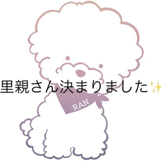 5歳/トイプードル/女の子