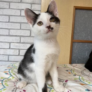 Zŕی삳ꂽЂ肭