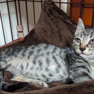 生後2カ月男の子