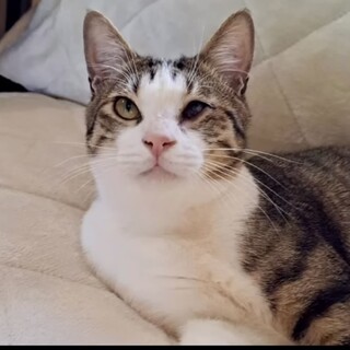 ハンデあり。名前を呼んだら走ってくるアグくん