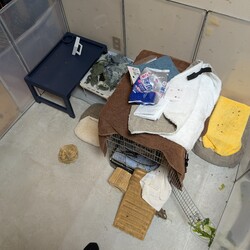 「サクラさんのお迎えから1月経ちました」サムネイル3