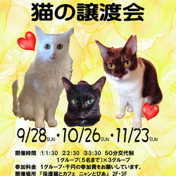 オープンシエルター譲渡会