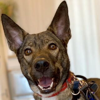 ゆっくり慣れていくからいっぱい甘えさせてね♡