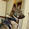 ゆっくり慣れていくからいっぱい甘えさせてね♡ サムネイル7
