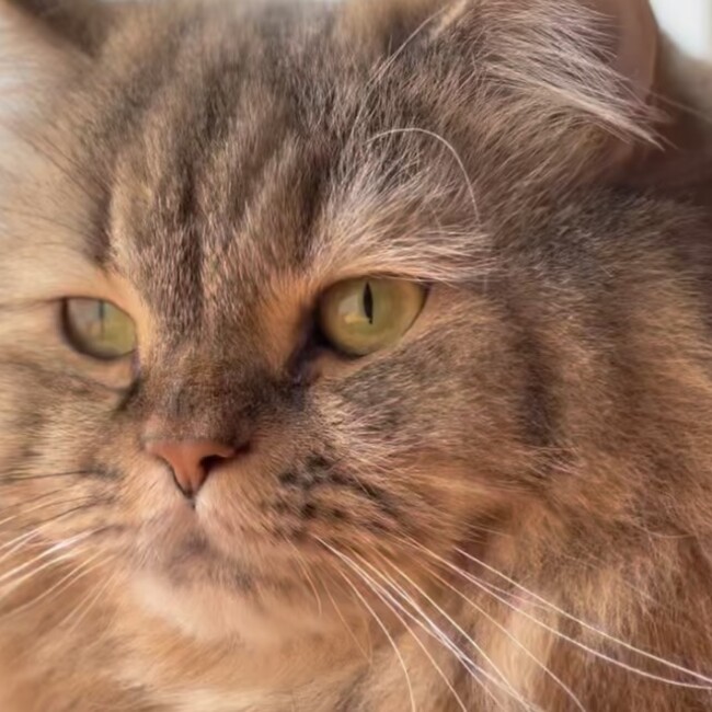 Mick1115のカバー写真