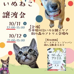 いぬねこ譲渡会