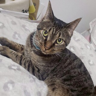 人が大好きな甘えん坊さん★ヨシロくん