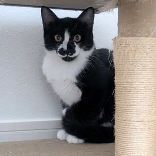 ちょー怖がりさんのやまと君