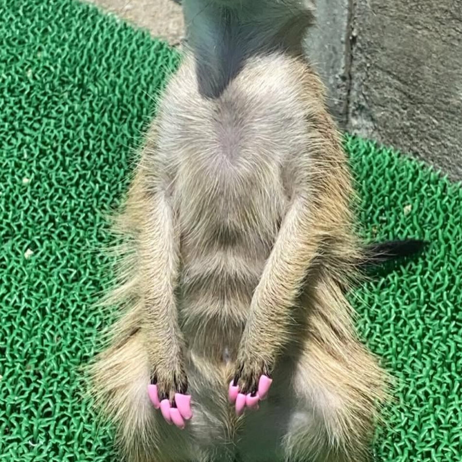 Mikiのカバー写真