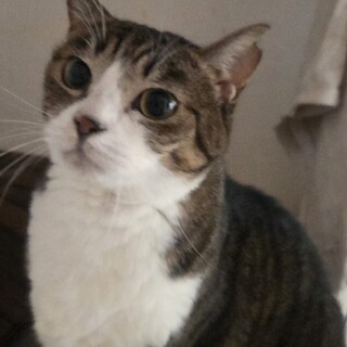 私のお腹でお眠りなさい,,,「まきを」