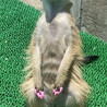 の写真