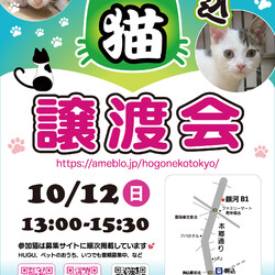 ほごねこ東京譲渡会＠駒込