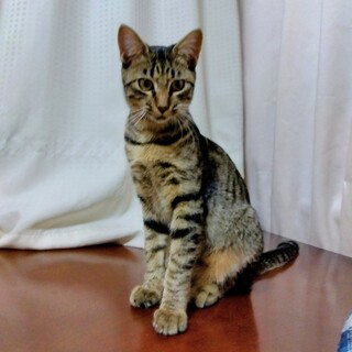 人懐こくて優しい男の子。6ヶ月目