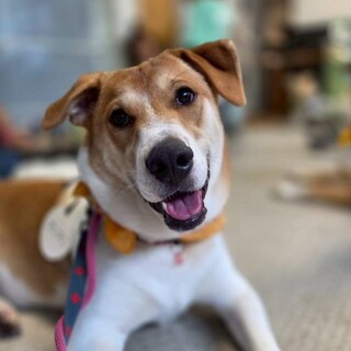 “プニプニ” 男の子