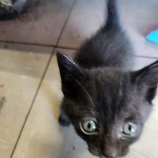 また助けて下さい