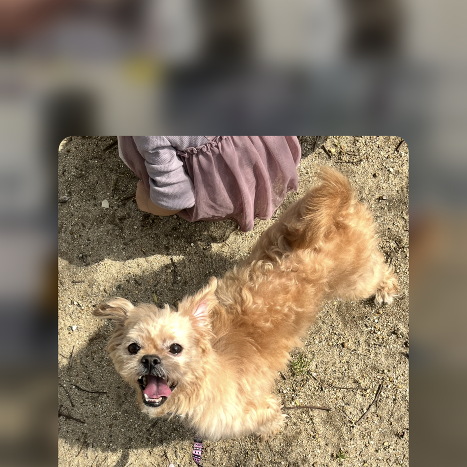 とののカバー写真