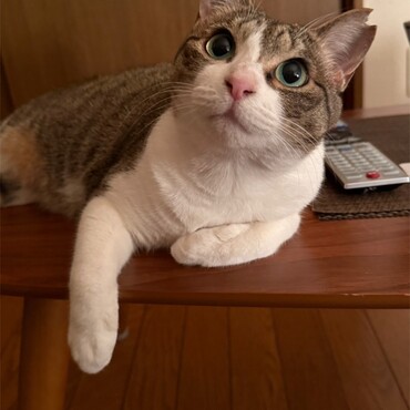 私にベッタリで機嫌が手に取るようにわかる子、わかりやすくて良し笑