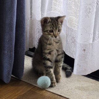 かわいい大黒天くん