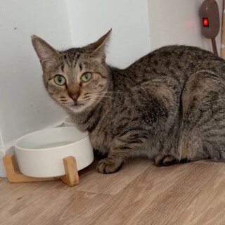 ❤リズムちゃん❤