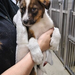 優先期間内にお迎えお願いします。10/10迄