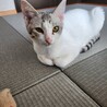 姉妹です♡ サムネイル3