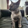 姉妹です♡ サムネイル4