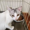 姉妹です♡ サムネイル5