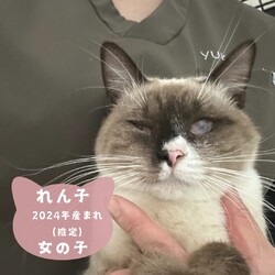 川崎市動物愛護センター・溝の口駅同時開催 サムネイル2