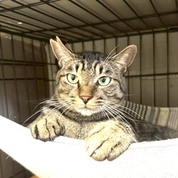 川崎市動物愛護センター・溝の口駅同時開催 サムネイル3