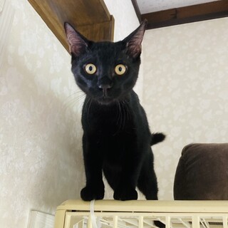  優しくて穏やかな男の子クマ君