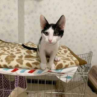 なでなで大好き♡リッキーくん