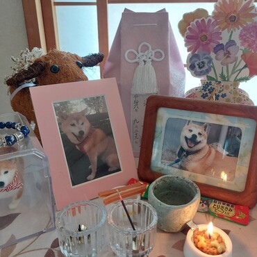 ♥️葵の誕生日♥️　去年は17歳になれなくて涙涙の誕生日だったね