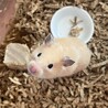 キンクマハムスターの女の子 サムネイル2